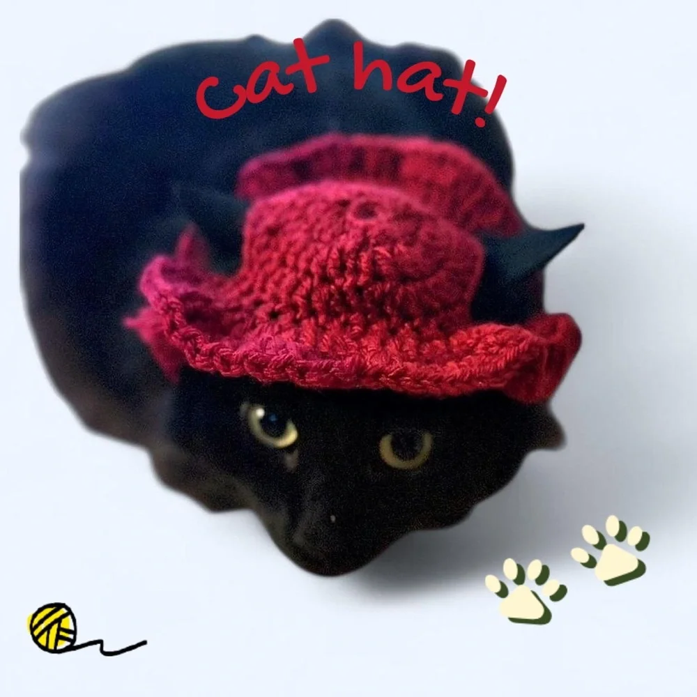Red Cat Hat